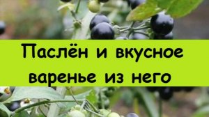 Пасленовое варенье - ДЕЛИКАТЕС с уральской грядки, смело советую всем, вкус и цвет несравненный!