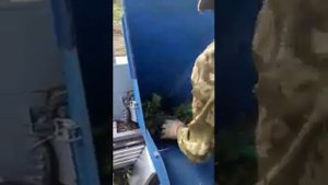 Чудо-техника. Аренда измельчителя веток в Сочи