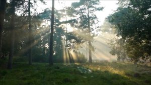 Средство от лени.mp4