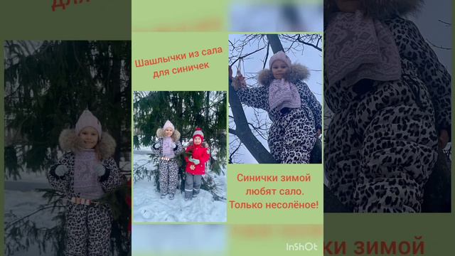 Олимпиада Мой первый учитель смотреть онлайн