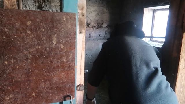 #ВЛОГ Мама Гуля возвращается! Вперёд и с песней! Жизнь в деревне продолжается