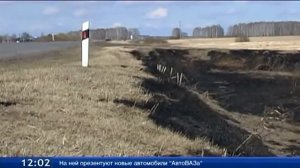 В Тюменской области проложили минерализованных полос на 325 км больше, чем планировалось