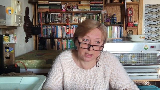 Теплуша : Вопрос - ответ о инкубации (2 часть ). смотреть онлайн