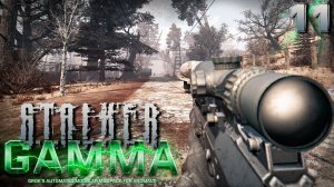 S.T.A.L.K.E.R. Anomaly GAMMA (11) ► Жук