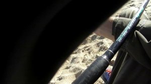 Ловля кефали с берега