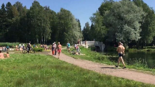 Воскресный день. Жарко. Люди купаются и загорают. Гатчинский парк. Холодная ванна. 26.06.2016, 12:5 смотреть онлайн