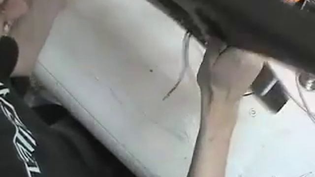 Xiphos смотреть онлайн