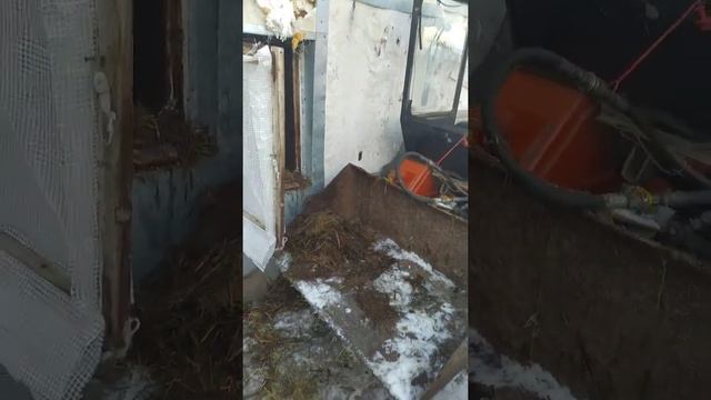 Сельские будни убираем навоз #минитрактор Уралец в помощь