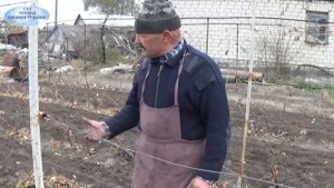 ВИНОГРАДНИК. ОСЕННЯЯ ВЛАГОЗАРЯДКА-ОЧЕНЬ ВАЖНЫЕ ПРИГОТОВЛЕНИЯ К ЗИМОВКЕ!!!