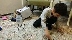 Глеб играет в солдатиков