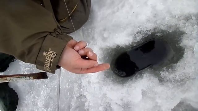 Зимняя рыбалка в беларуси видео смотреть онлайн