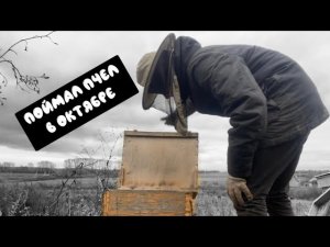 ПОЙМАЛ ПЧЁЛ В ОКТЯБРЕ/ЛОВУШКИ ДЛЯ ПЧЁЛ ОСЕНЬЮ