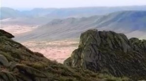 Зов горячей травы