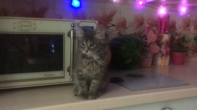 Маленький малыш растёт не по дням, а по часам ? смотреть онлайн