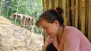 Harvest bamboo shoots - stone crabs and bring them to the market to sell | Chuc Thi Mai