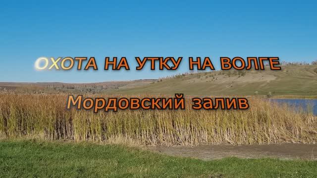 Охота на утку на Волге Мордовский залив