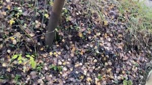 Поймали щуку , лодка с мотором , яичница , рыбалка на Вуоксе