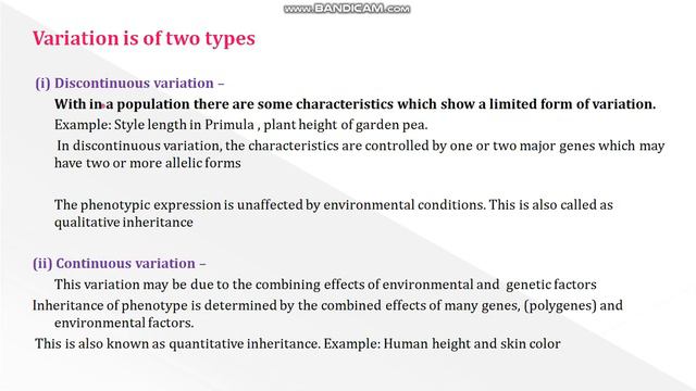 12th BIO BOTANY Chapter 2 PART 1 смотреть онлайн