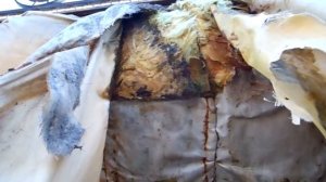 Неэффективное утепление теплотрасс