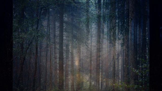 Расслабляющая музыка для сна, медитации и борьбы со стрессом • "Venkatesananda" от Jesse Gallagher смотреть онлайн