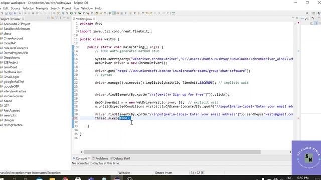 What is Thread.sleep in Java | Types of Waits - Part 3 | Selenium Ninja