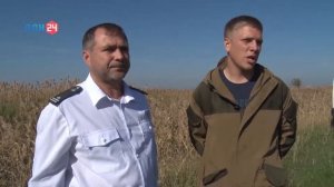 Уборка риса в Ростовской области