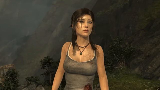Tomb Raider Benchmarks - AMD FX 6200,GTX 660, 16GB Ram смотреть онлайн