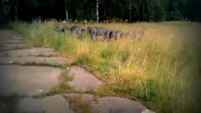 ЗАБРОШЕННЫЙ ВОДОЗАБОР.  ПОЛИГОН СТРЕЛЬБИЩЕ.  ЧТО ПРОИЗОШЛО?