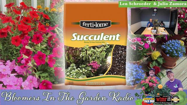 Bloomers in the Garden|1.28.23: MANTS Show, What New Plants Are Coming, PW Houseplants, and HP Rant смотреть онлайн