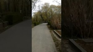 Как найти могилу Майка Науменко