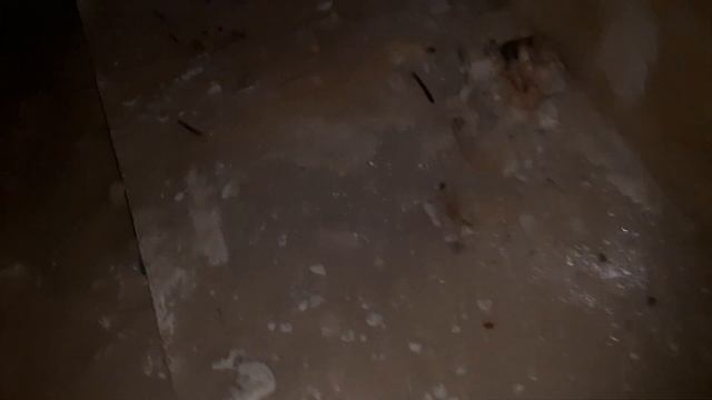 ? поиск метала в подвале жилого дома. есть находки