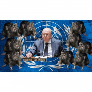 В Генассамблее ООН 23-24 февраля: Заседания посвящены годовщине начала СВО (рус. перевод, тайминг)