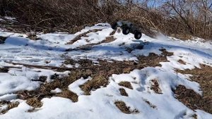 Full Running Video - Rlaarlo Omni-Terminator Monster Truck