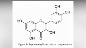 Será que somos iguais? Quem é a mais PODEROSA? Qual de nós tem mais BENEFÍCIOS para a SAÚDE?