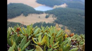 Приэльбрусье. Увлекательное путешествие.