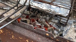 Гречка без гречки 🤪