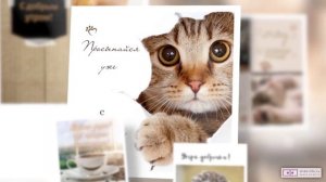 Смешная видео открытка с добрым утром. [Скачать бесплатно]