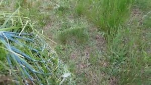 №29 простая кормушка для кур гусей уток корм газонокосилка