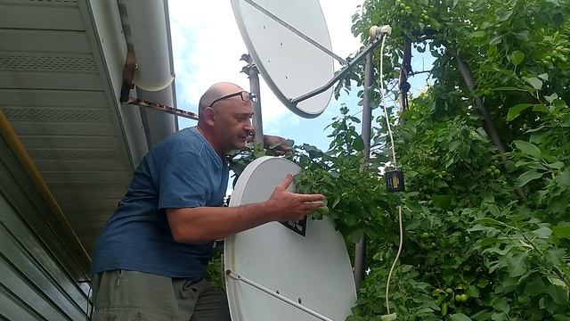 Спутниковое ТВ