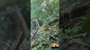 Горы КБР.Поход на жёлтую кручу.2019