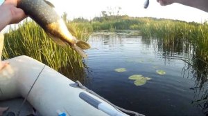 Рыбалка на р. Кама. Рыбалка с семьёй.