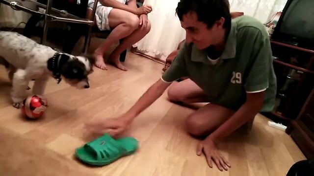 Игра в мячик с Демьяном смотреть онлайн