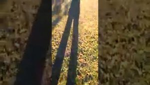 Для чего нужна гидроизоляция на кровле под металочерепицей, композитной кровлей.