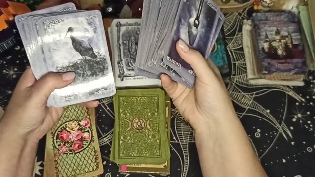 Оракулы с которыми я сейчас работаю ? #магия смотреть онлайн