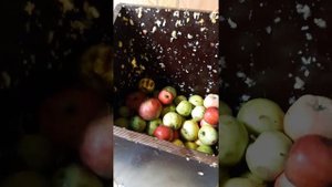 Модернизированная дробилка для яблок и винограда.