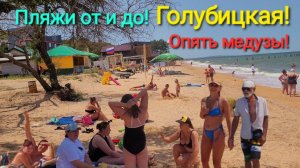 Голубицкая. МЕДУЗЫ - Сегодня! Пляжи от Подмаячного до Центрального. Азовское море.
