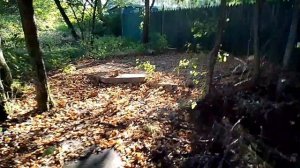 заброшенная леп