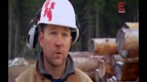 Уникальные дома из дерева #1