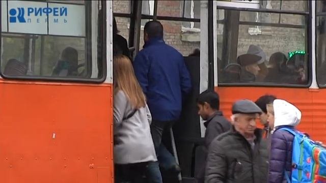 Проездной: количество поездок