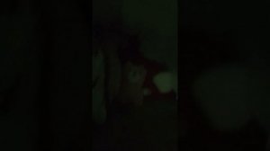 бункер  из подручных средств а именно из одеяла подушек игрушек